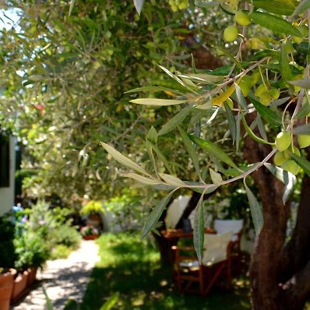 Regina Βίλα Καλό Χωριό Εξωτερικό φωτογραφία